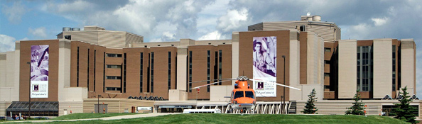 Western Pain Medicine Program at Western University, Canada
