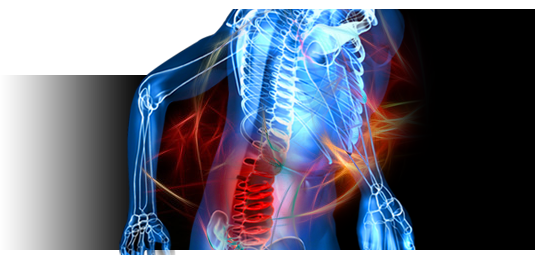 Western Pain Medicine Program at Western University, Canada